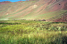 Argentina-Cordoba/Mendoza-Andean Crossing Adventure